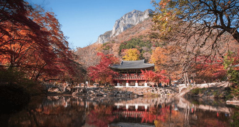 Explore the Wonders of South Korea!!