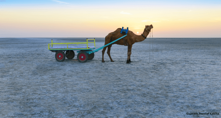 Rann of Kutch