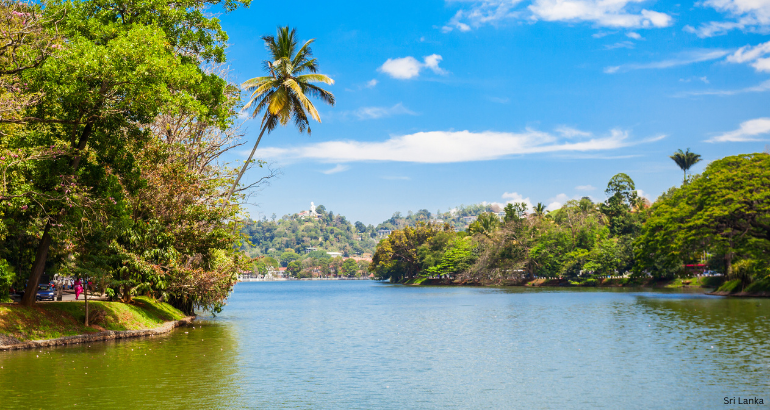 Sri Lanka Highlights: A 5-Day Tour