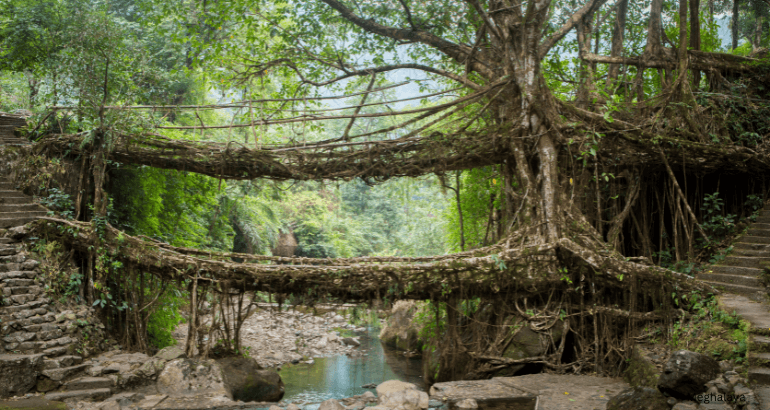 Assam Meghalaya Escape