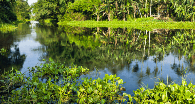 Assam Meghalaya Escape